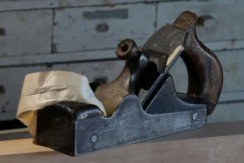 Where Ancient Trees Find New Purpose: The Quiet Magic of Britain's Wood Whisperers